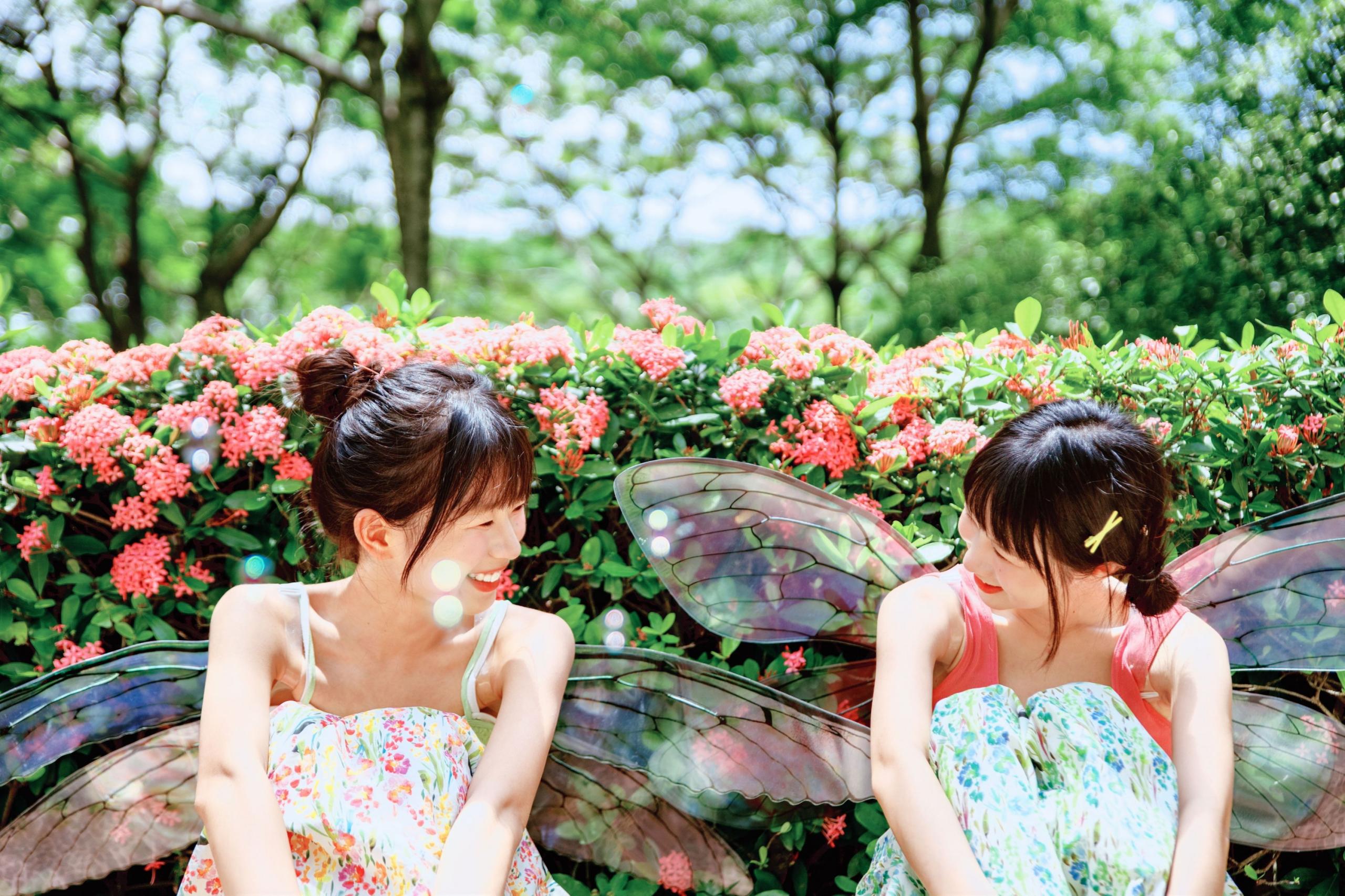 – 《精灵》[54P]