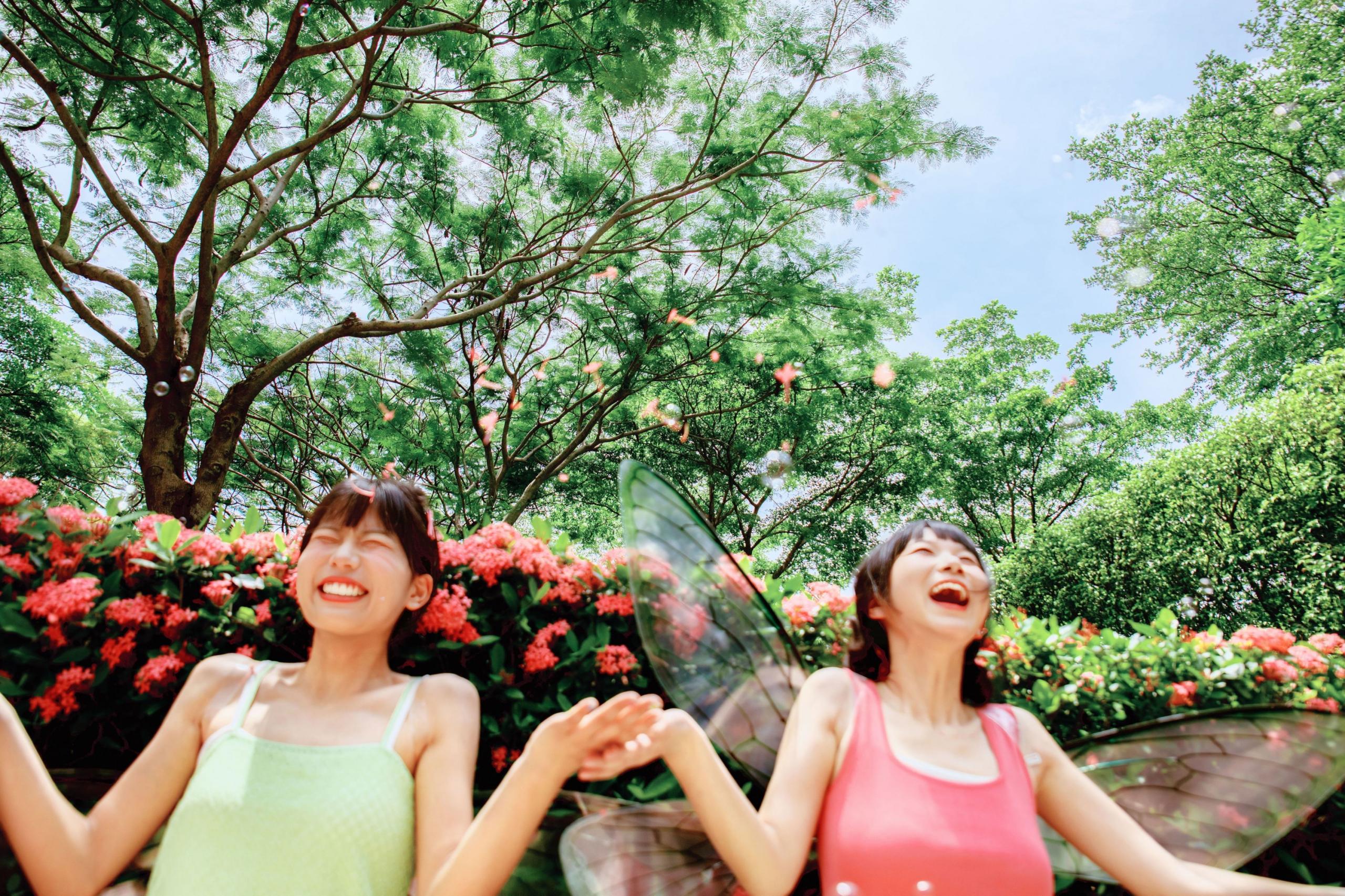 – 《精灵》[54P]