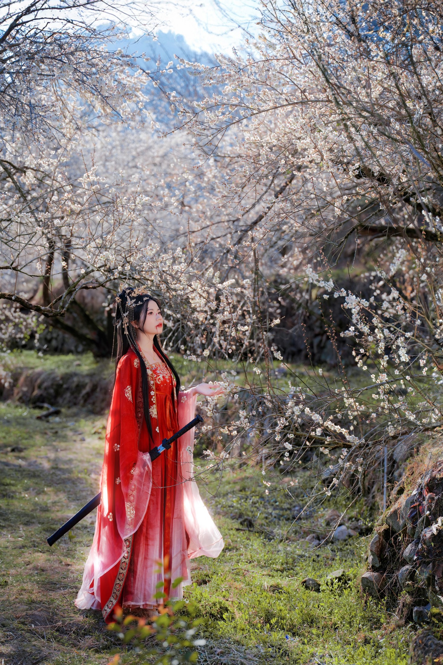 阿咩 – 《梅花古风人像拍摄》[14P] 插图1