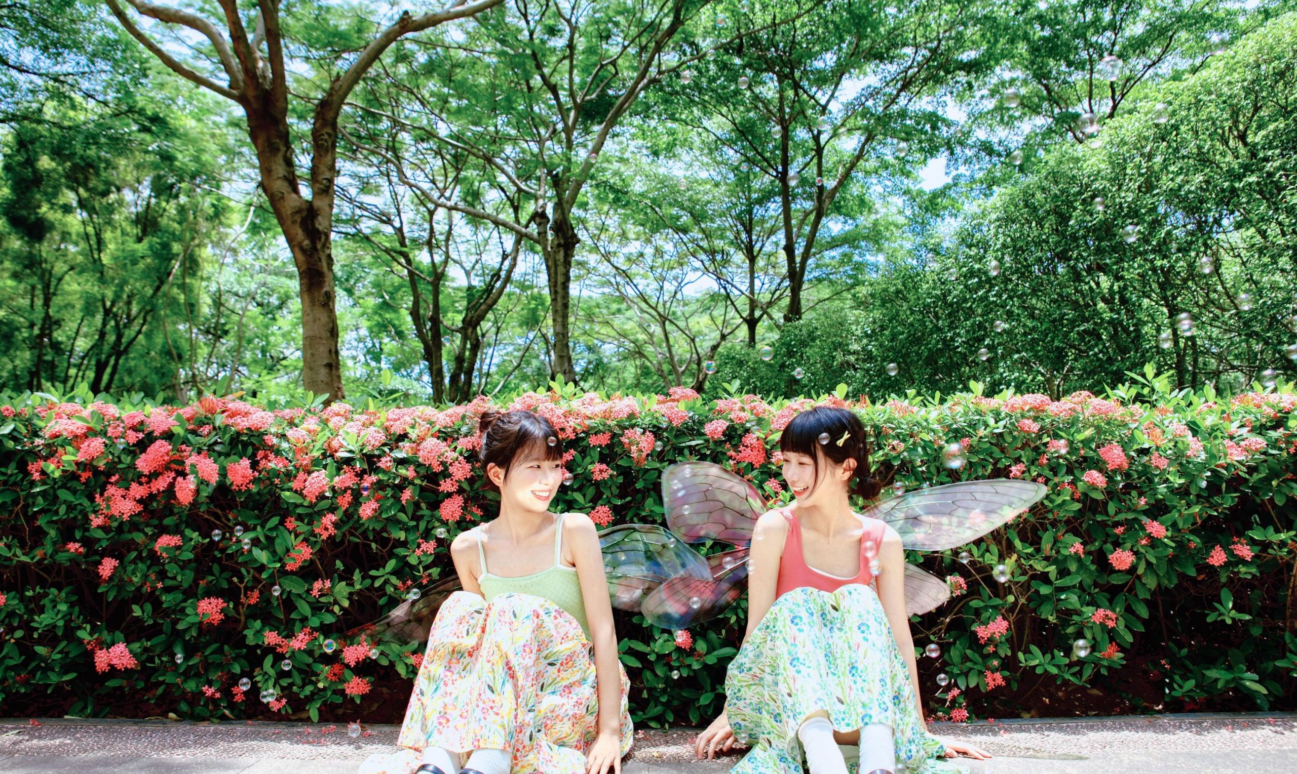 – 《精灵》[54P]