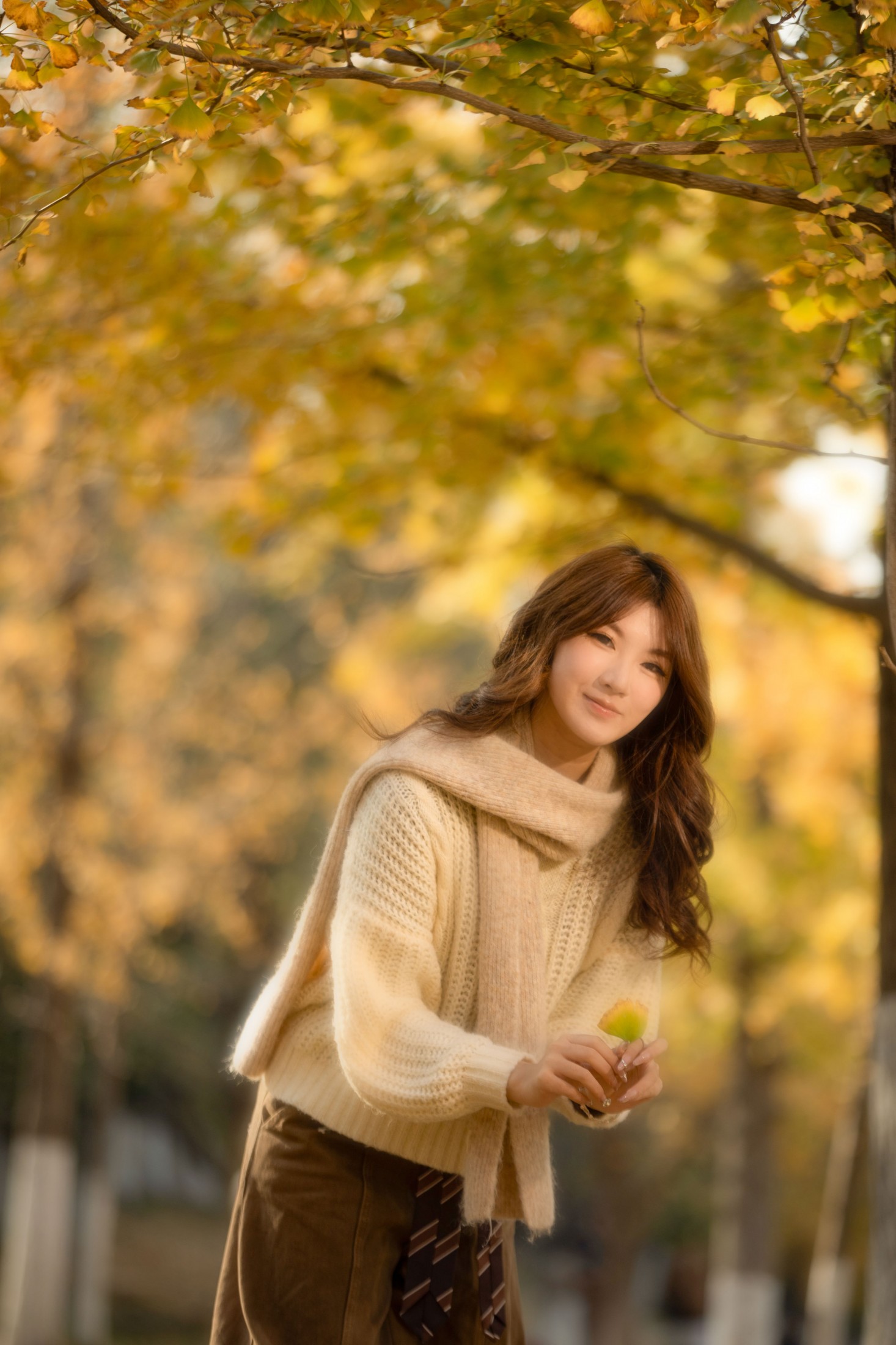 可可 - 《银杏少女》[10P]