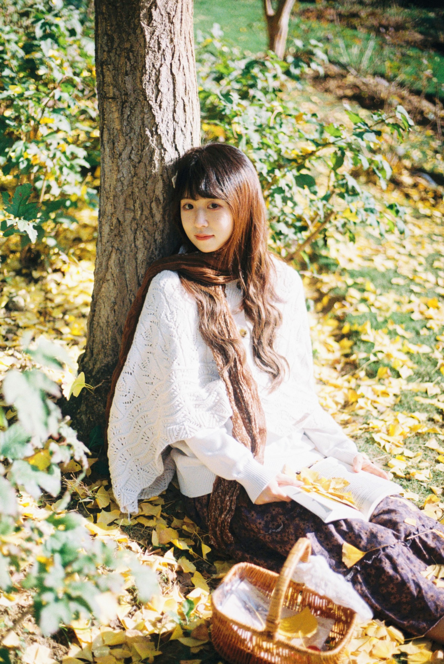 《一场盛大的秋天》[9P]