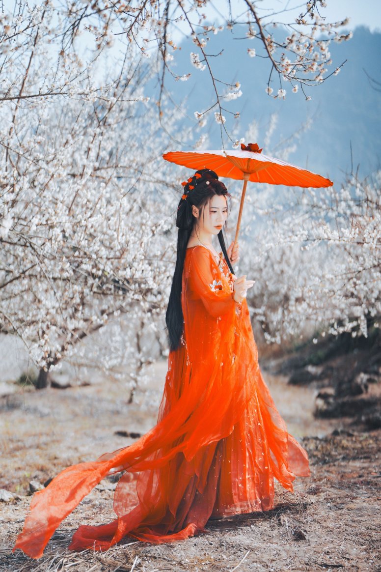 浅月没有月 – 《梅花古风人像拍摄》[18P]