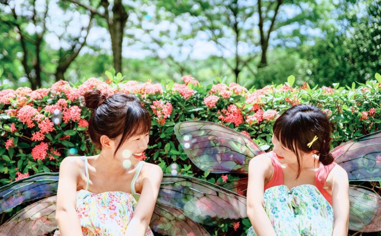 – 《精灵》[54P]