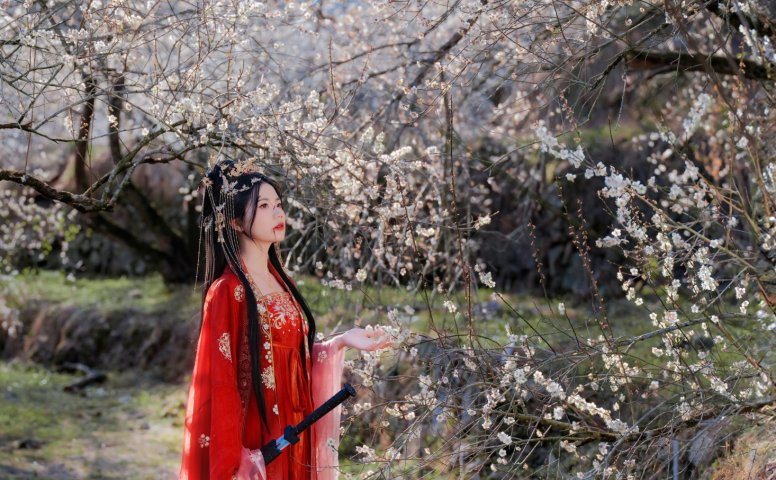 阿咩 – 《梅花古风人像拍摄》[14P]