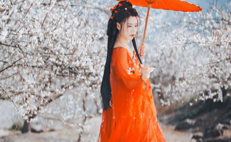 浅月没有月 – 《梅花古风人像拍摄》[18P]