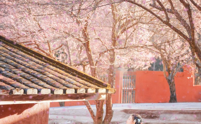 卿莫07 – 《梅花古风人像拍摄》[22P]