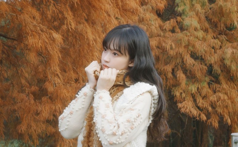 – 《森林梦核》[25P]